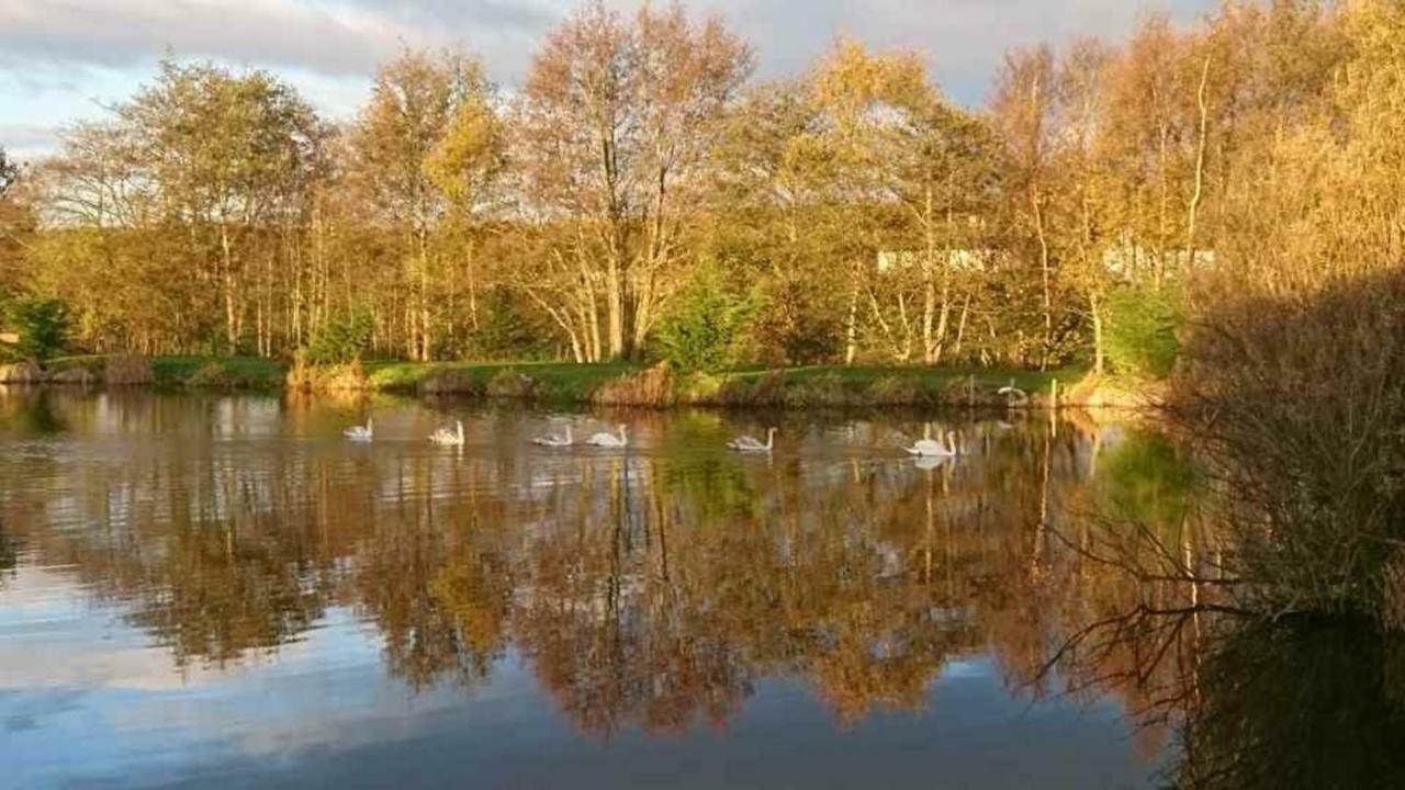 Brightwater Holiday home